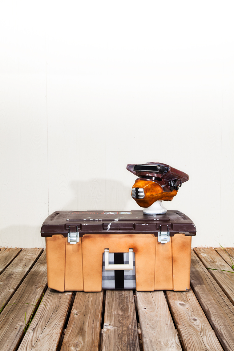 Leia_as_Boushh_Case